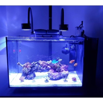 Lampa LED do akwarium morskiego Asta 20